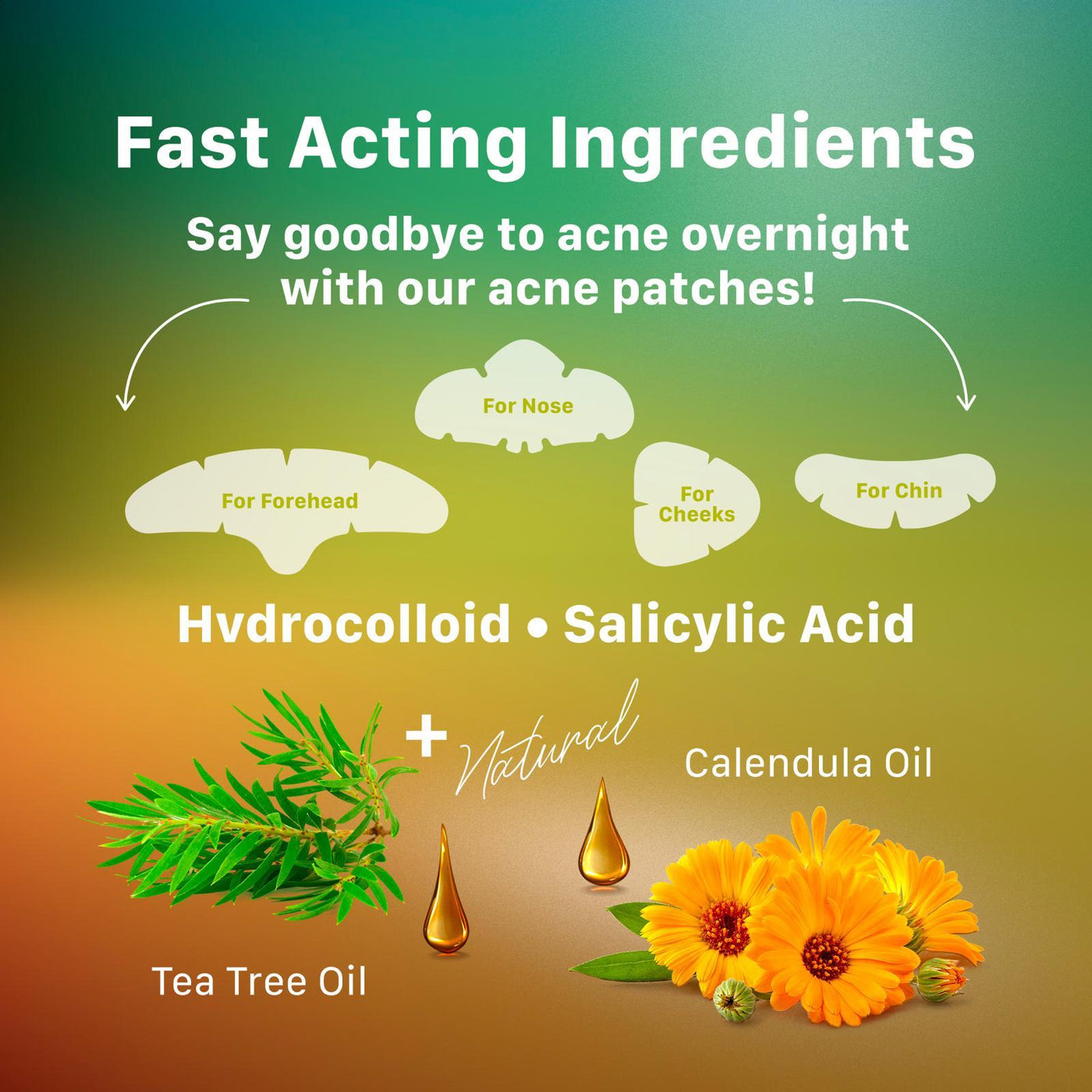 JHydrocolloid Full-Face Pimple Patch – Acne & Blemish Treatment for Sensitive Skin, Nose, Forehead, Chin & Cheeks